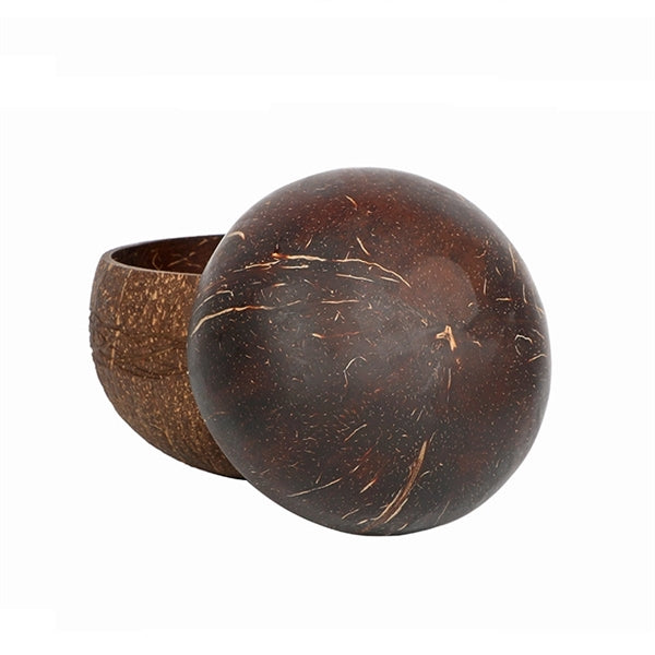Natural Coconut Bowl