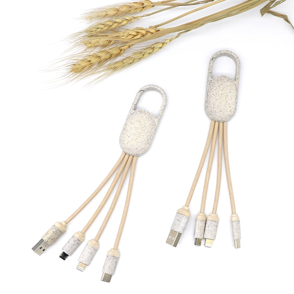 Environmental charging cable with custom logo for business