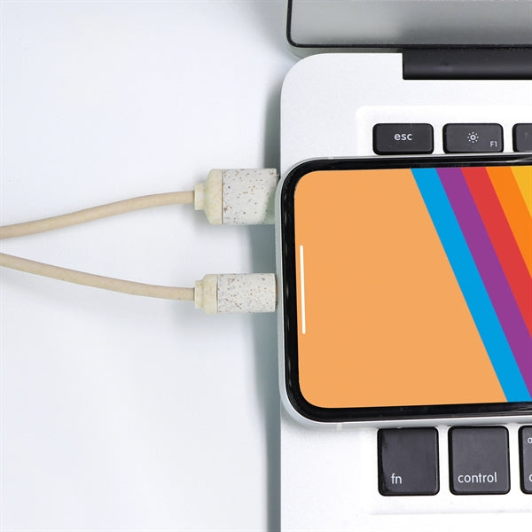 Environmental charging cable with custom logo for business