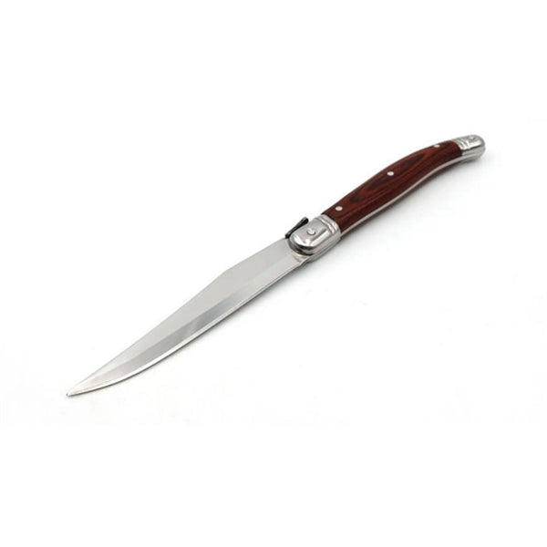 Outdoor/Woodsmen kind of knife