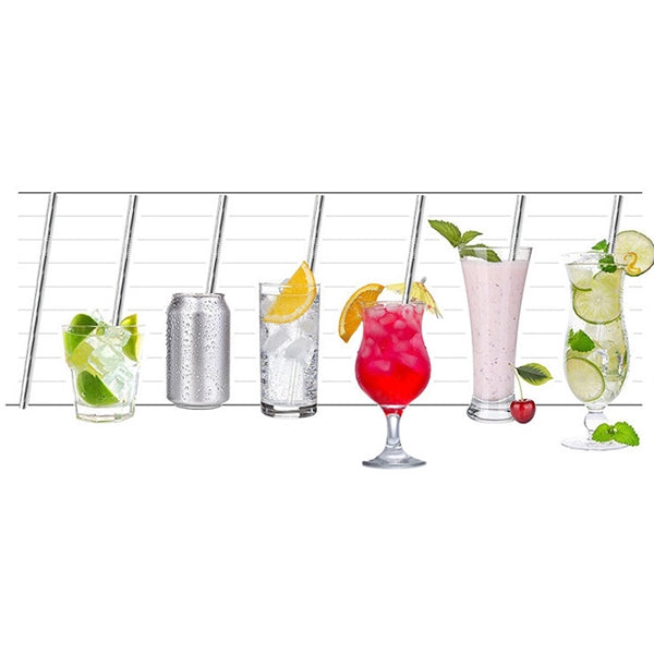Pro-environment Stainless Steel Straws Kit