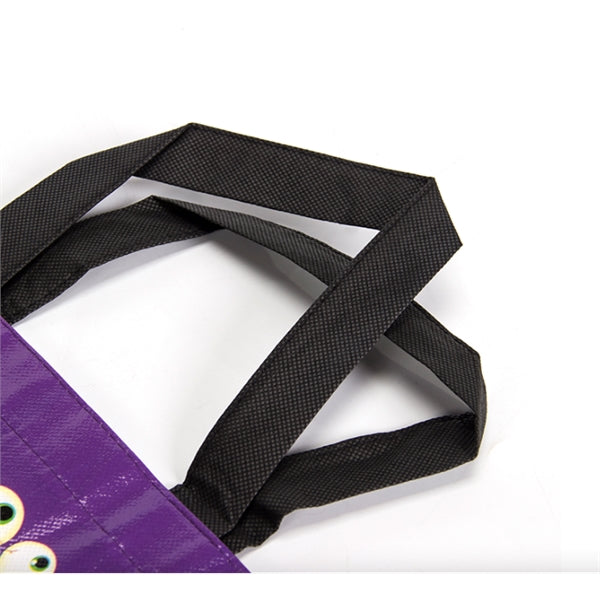 Laminated Non Woven Carry Bag
