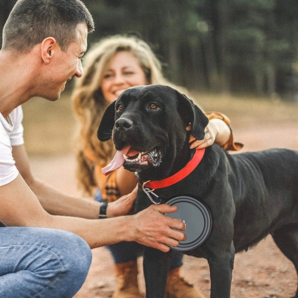 Silicone Collapsible Pet Bowl