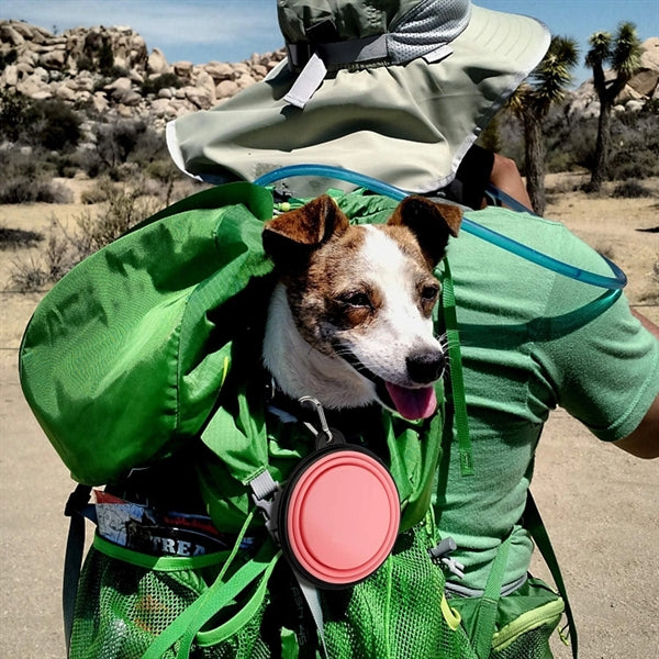 Silicone Collapsible Pet Bowl
