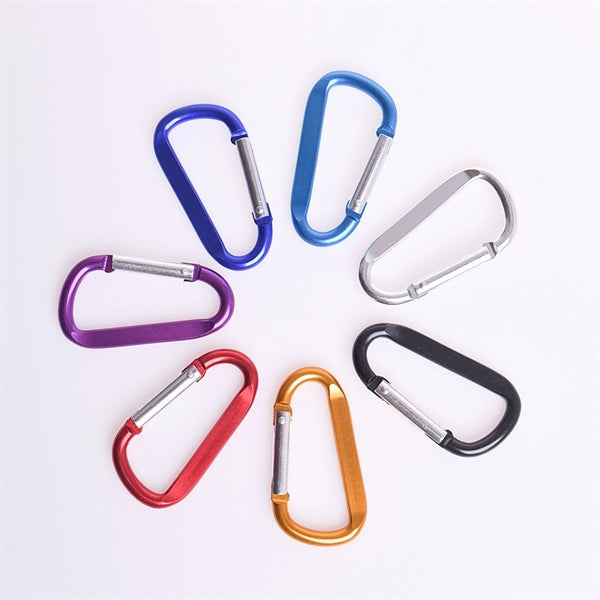 Carabiner with Keychain