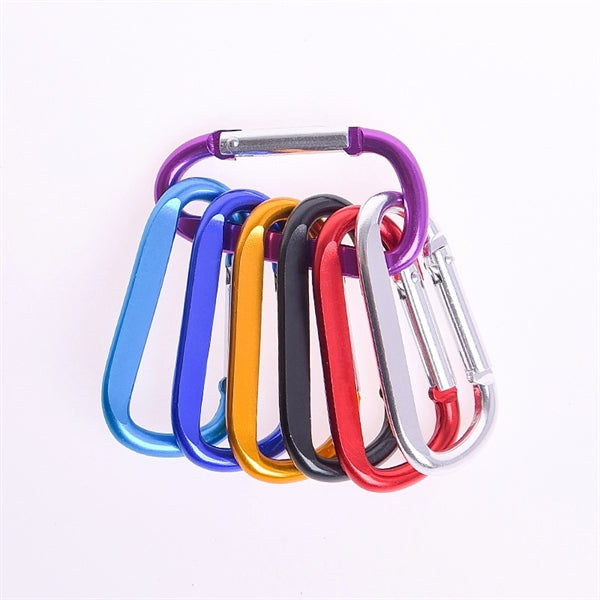 Carabiner with Keychain