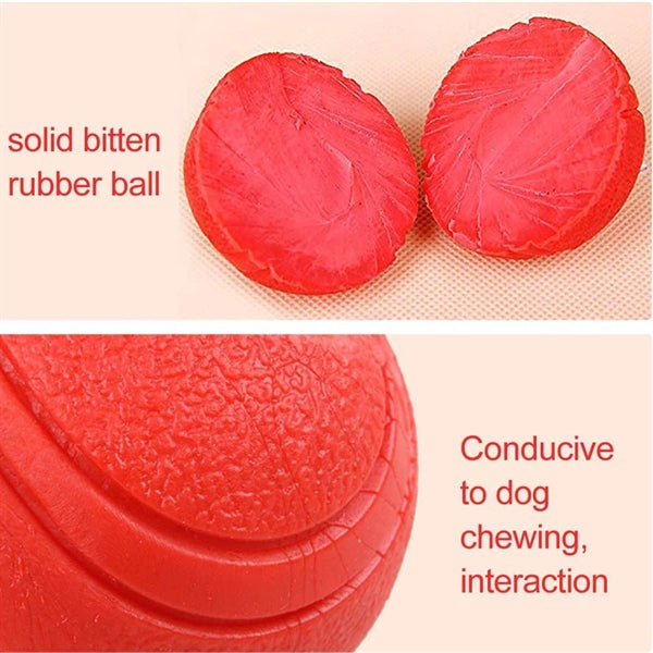 Solid Rubber Dog Balls