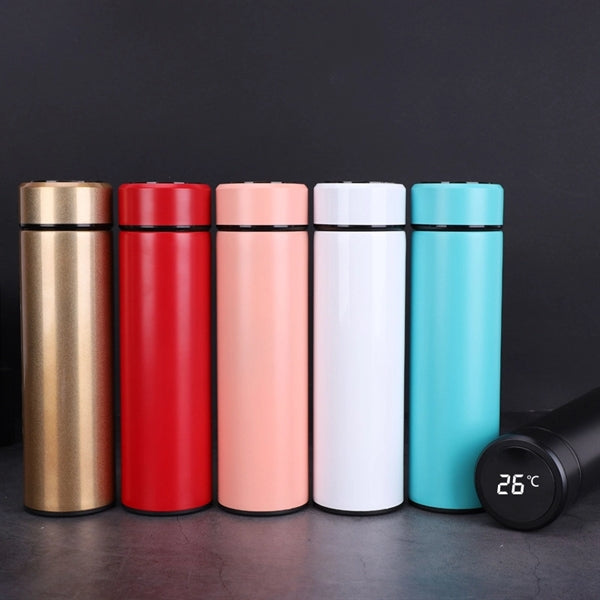 17 oz Water Bottle with LED Temperature Display