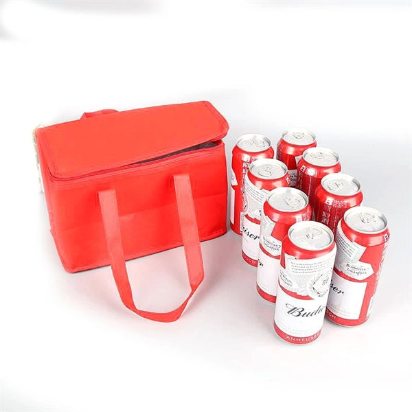 Large Non-Woven Insulated Cooler Bag