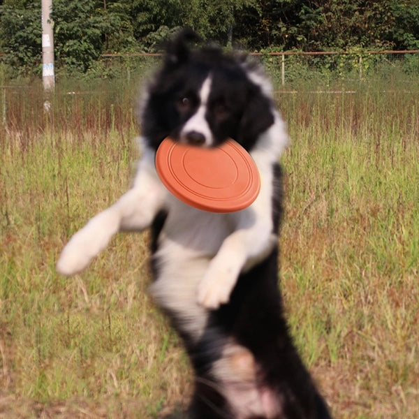 Round Flying Disc