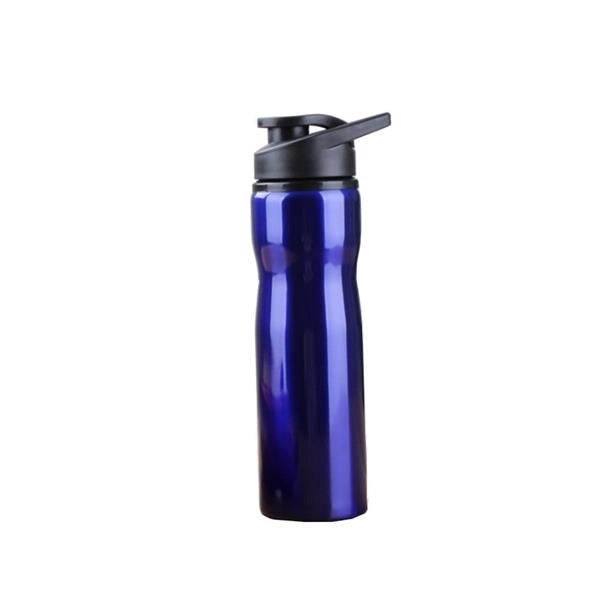 25 Oz. Stainless Steel Sports Bottle