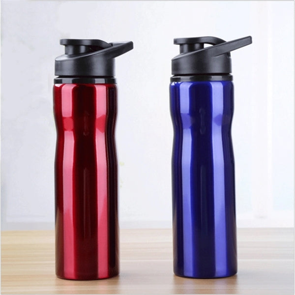 25 Oz. Stainless Steel Sports Bottle