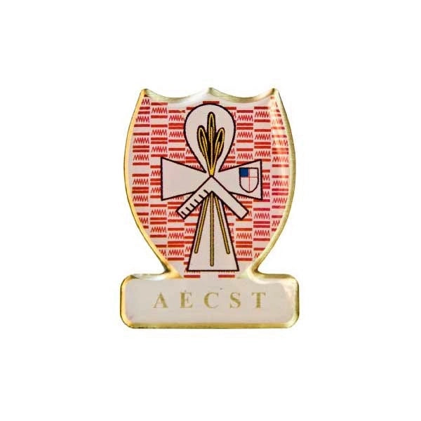 Lapel Pin (Brass Photo Etched)