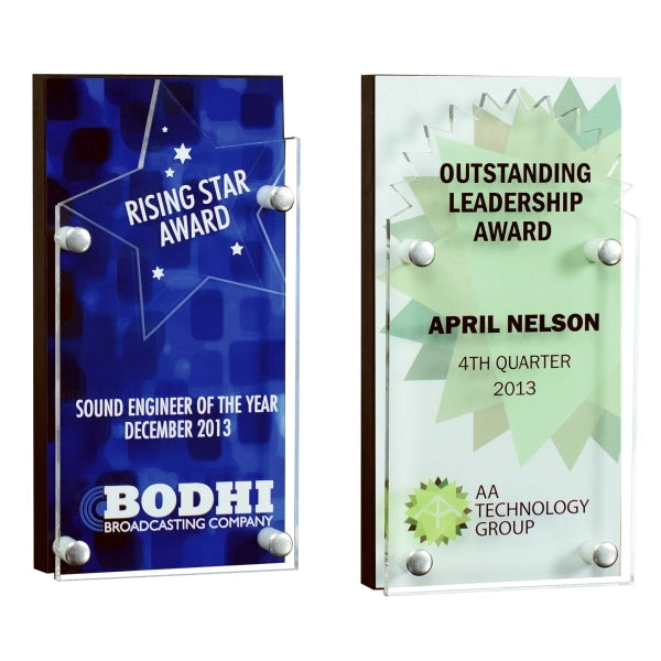Double Vision Award